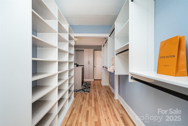 spacious closet featuring light hardwood / wood-style floors