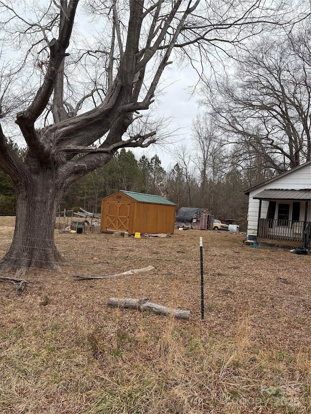 view of yard featuring a storage shed