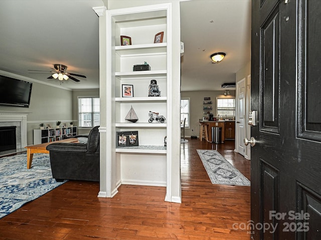 entrance foyer featuring dark hardwood / wood-style floors, ceiling fan, ornamental molding, and a premium fireplace