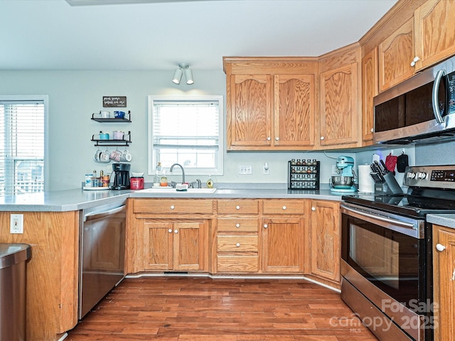 kitchen featuring stainless steel appliances, a healthy amount of sunlight, sink, and kitchen peninsula