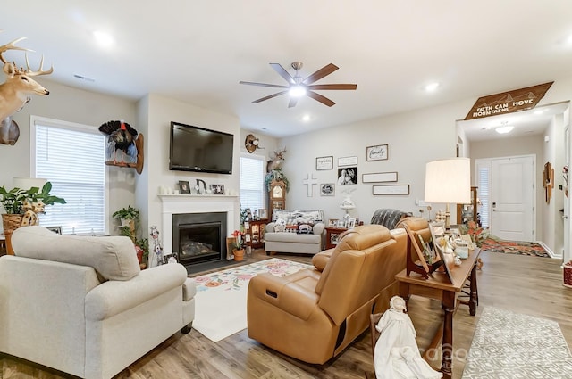 living room with ceiling fan and wood-type flooring