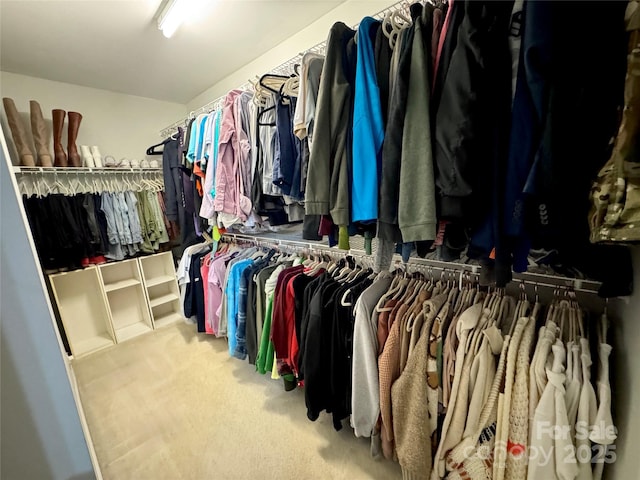 walk in closet featuring carpet floors