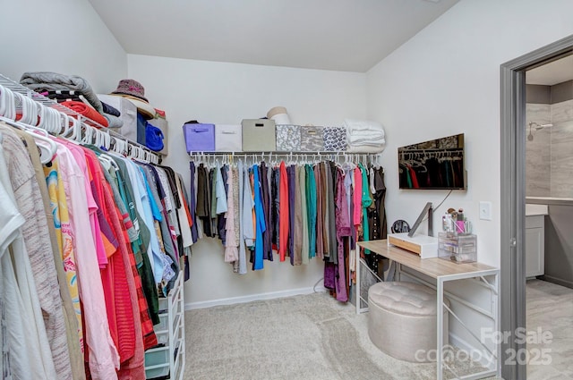 spacious closet featuring carpet floors