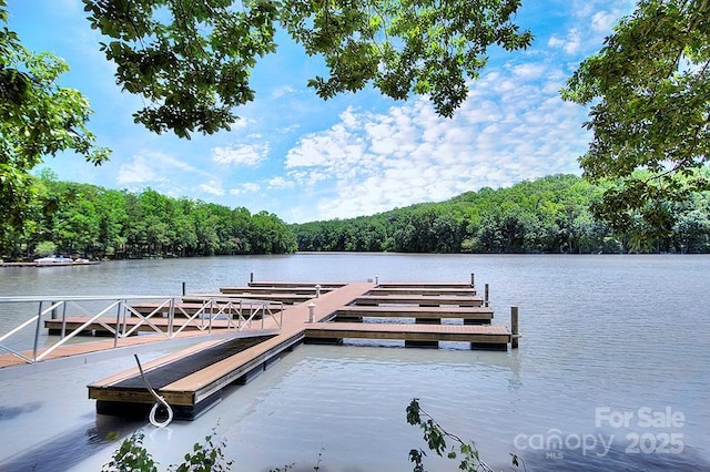 dock area with a water view