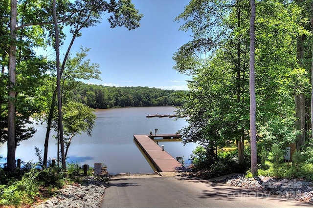 dock area with a water view