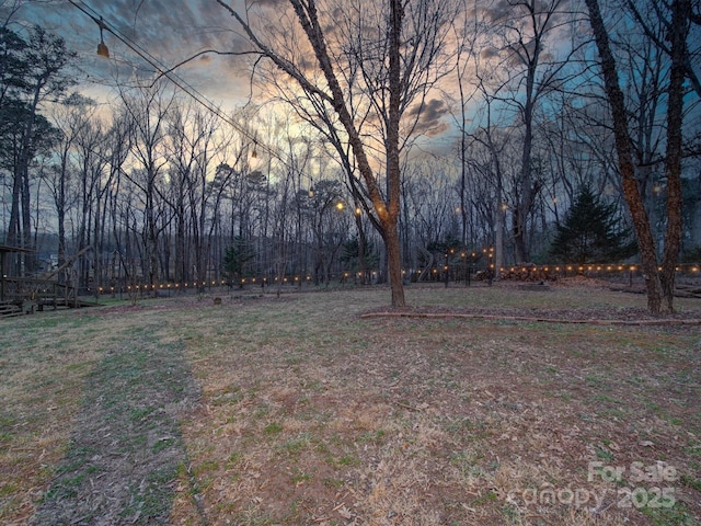 view of yard at dusk