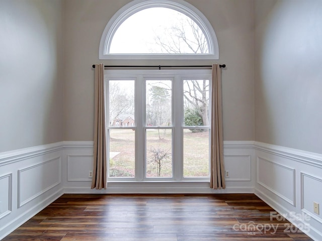 empty room featuring a healthy amount of sunlight and dark hardwood / wood-style flooring