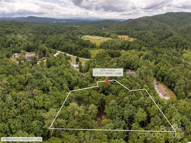 99999 Locust Knoll Ln, Hendersonville, NC 28792