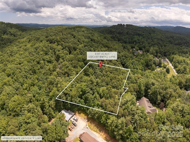 99999 Locust Knoll Ln, Hendersonville, NC 28792