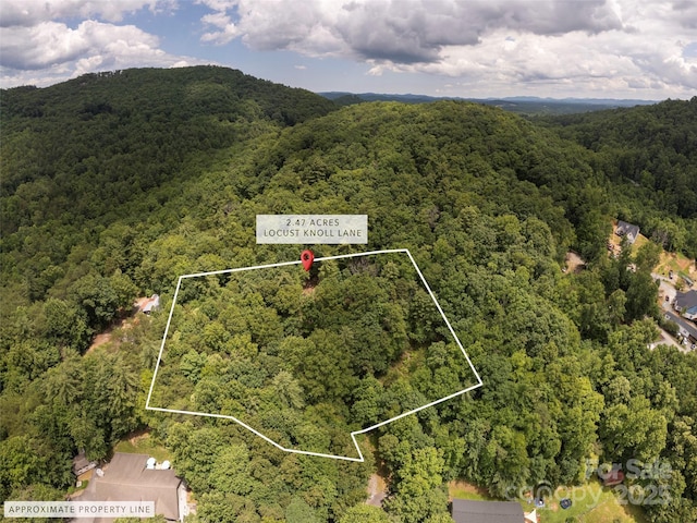 99999 Locust Knoll Ln, Hendersonville, NC 28792