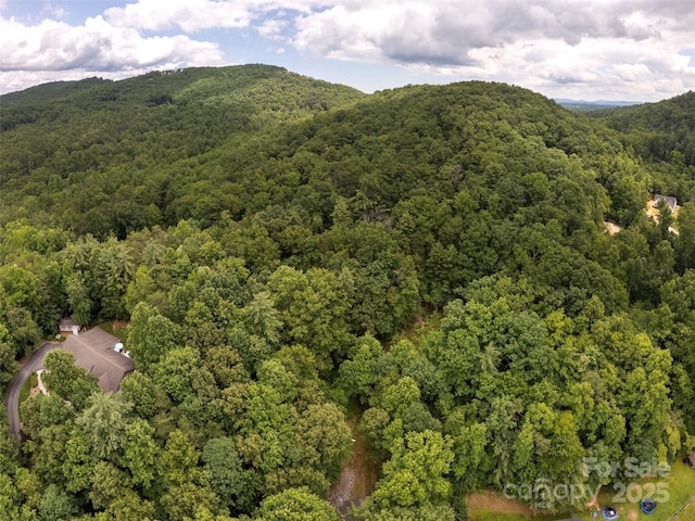 99999 Locust Knoll Ln, Hendersonville, NC 28792