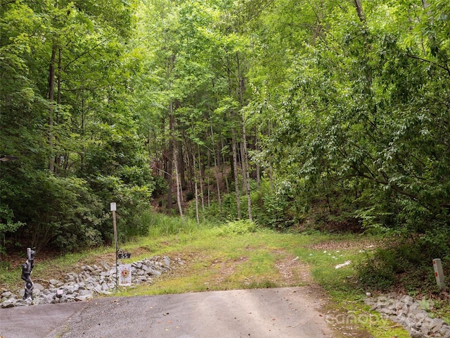 99999 Locust Knoll Ln, Hendersonville, NC 28792