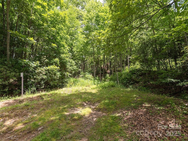 99999 Locust Knoll Ln, Hendersonville, NC 28792