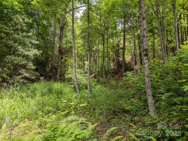 99999 Locust Knoll Ln, Hendersonville, NC 28792