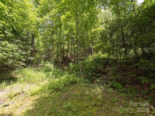 99999 Locust Knoll Ln, Hendersonville, NC 28792