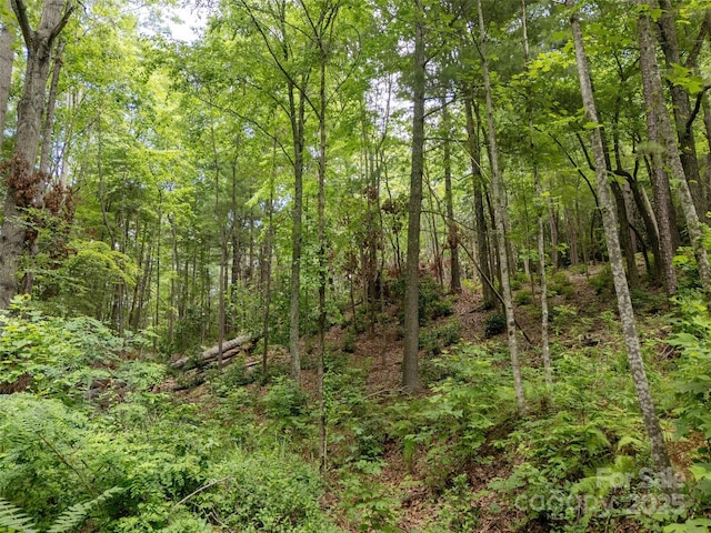 99999 Locust Knoll Ln, Hendersonville, NC 28792