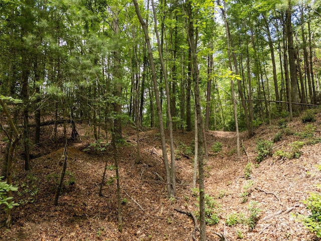 99999 Locust Knoll Ln, Hendersonville, NC 28792
