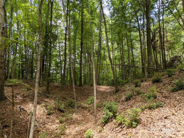 99999 Locust Knoll Ln, Hendersonville, NC 28792