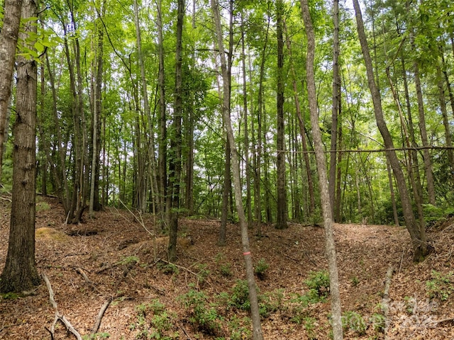 99999 Locust Knoll Ln, Hendersonville, NC 28792