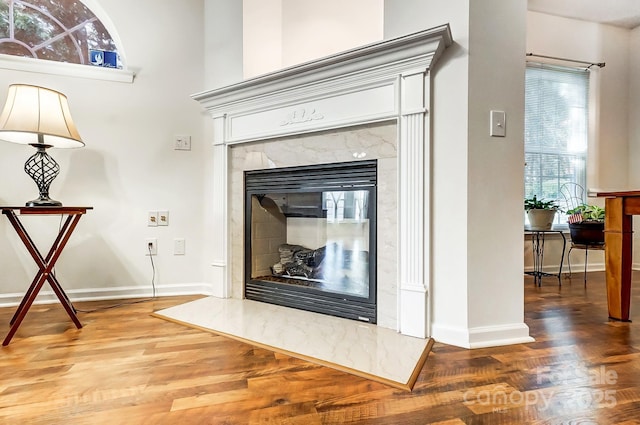 details with wood-type flooring and a fireplace