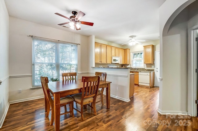 dining area featuring ceiling fan and dark hardwood / wood-style flooring