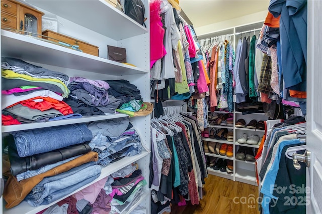 walk in closet with dark hardwood / wood-style floors