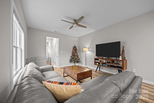 living room featuring ceiling fan and light wood-type flooring