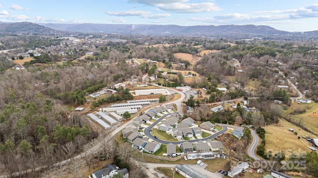 birds eye view of property with a mountain view