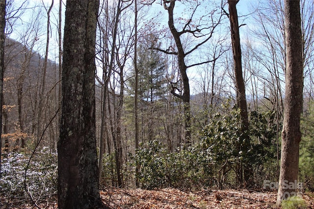 444 Poplar Path, Mars Hill NC, 28754 land for sale