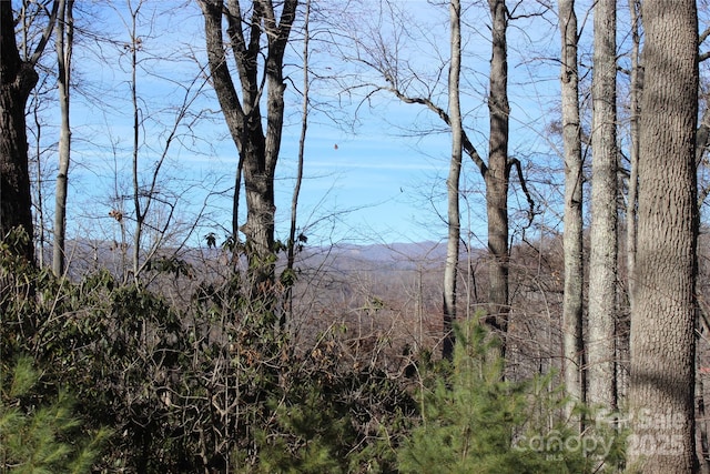 Listing photo 2 for 444 Poplar Path, Mars Hill NC 28754