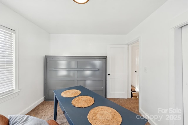 bedroom with carpet flooring