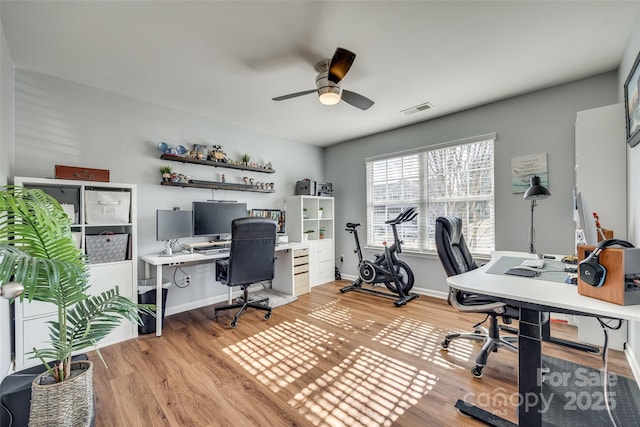 home office with ceiling fan and light hardwood / wood-style floors