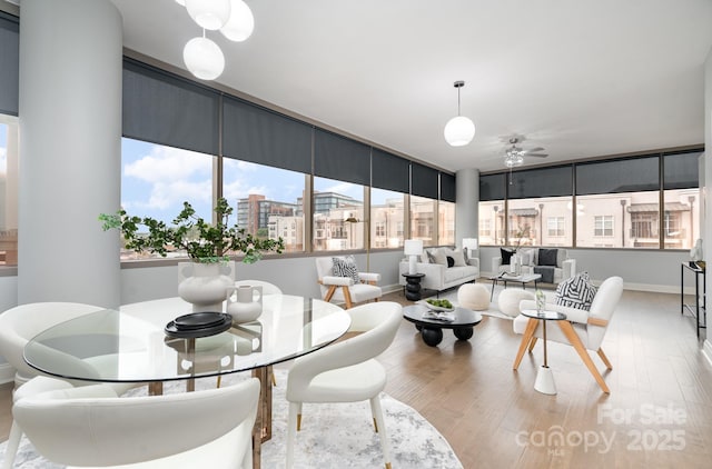 dining area featuring ceiling fan and light hardwood / wood-style flooring