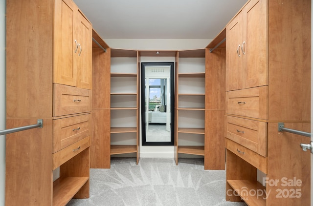 spacious closet with light carpet