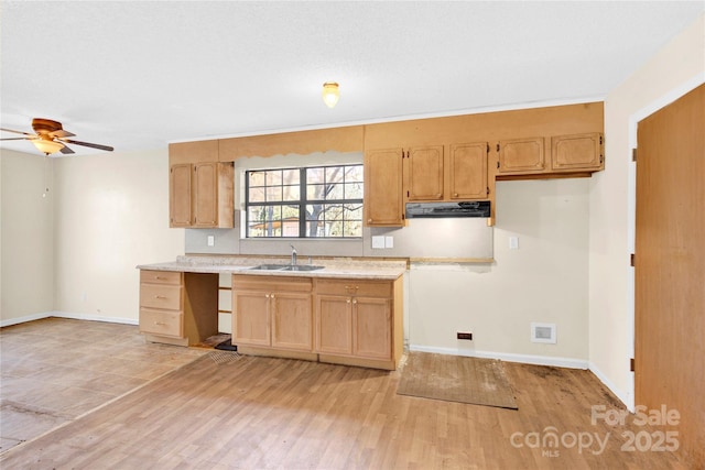 kitchen featuring sink, light hardwood / wood-style floors, and ceiling fan