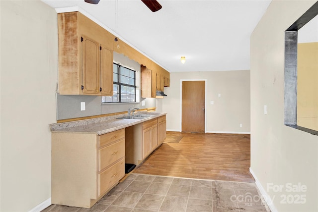 kitchen featuring ceiling fan, sink, and light hardwood / wood-style flooring