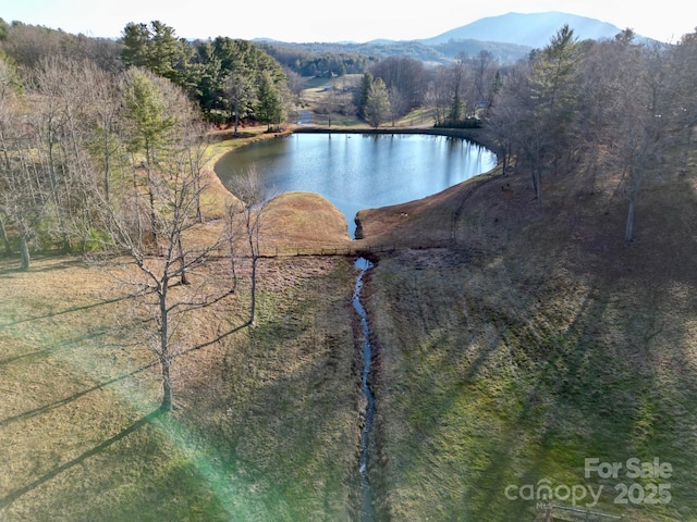 water view with a mountain view