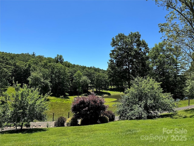 surrounding community featuring a yard