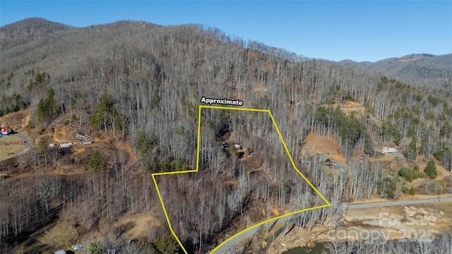 birds eye view of property with a mountain view