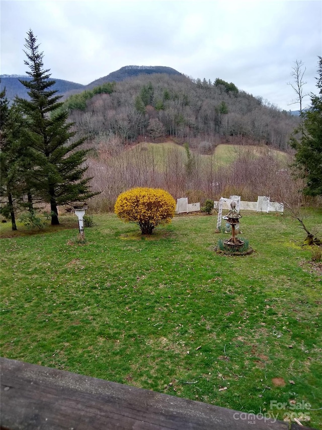 view of yard featuring a mountain view