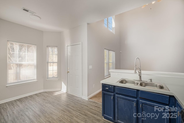 bathroom featuring hardwood / wood-style flooring and sink