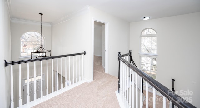 hall featuring light carpet, crown molding, plenty of natural light, and an inviting chandelier