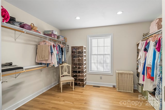 walk in closet featuring hardwood / wood-style flooring and radiator