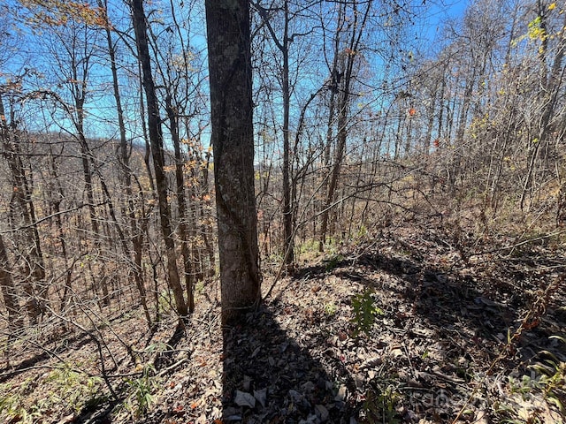 Listing photo 2 for TBD Eastatoe Gap Rd Unit 10, Rosman NC 28772