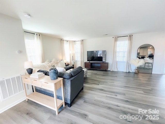 living room with hardwood / wood-style flooring and a wealth of natural light