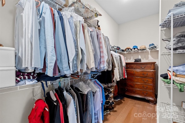 spacious closet with light wood-type flooring