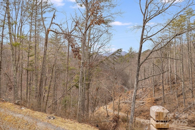 view of local wilderness featuring a wooded view