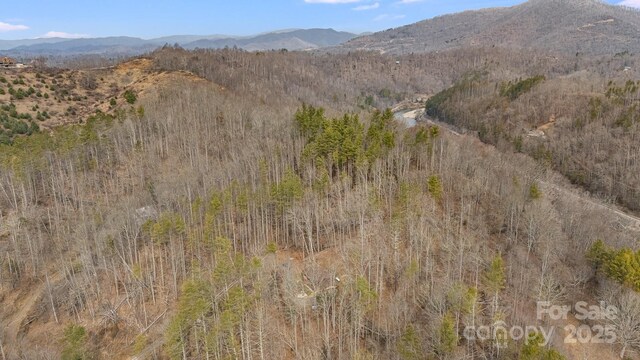 mountain view with a view of trees