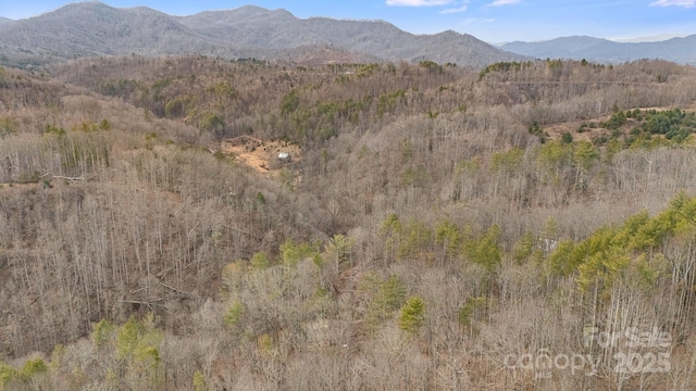 view of mountain feature with a forest view