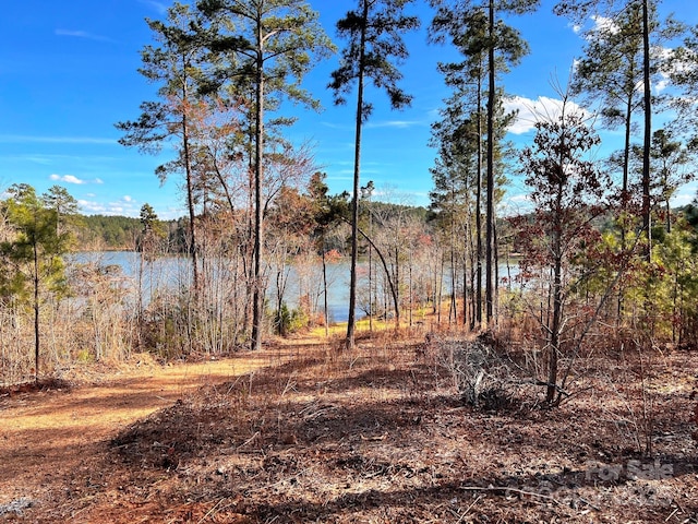 Listing photo 3 for 1760 Waters Edge Dr Unit 50, Granite Falls NC 28630